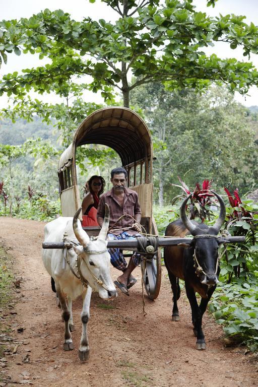 Welche sind die besten Hotels in der Nähe von Vagamon? Kanam Exterior foto